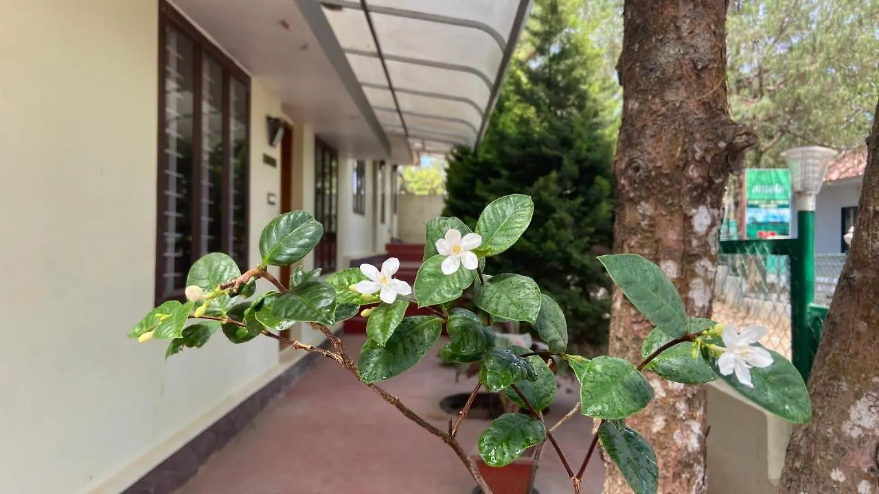 Masco Hill Resort Vagamon